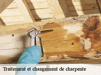 Traitement et changement de charpente