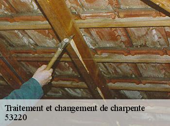 Traitement et changement de charpente 53220