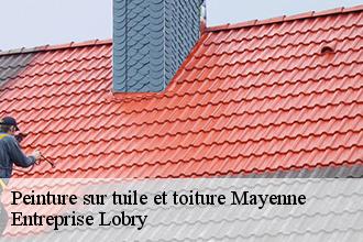 Peinture sur tuile et toiture 53 Mayenne AS Rénovation