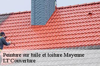Peinture sur tuile et toiture 53 Mayenne  Lobry Couverture 53