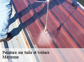 Peinture sur tuile et toiture Mayenne