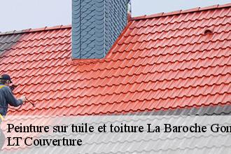 Peinture sur tuile et toiture  la-baroche-gondouin-53110 LT Couverture