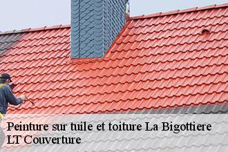 Peinture sur tuile et toiture  la-bigottiere-53240 LT Couverture