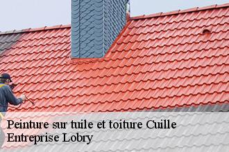 Peinture sur tuile et toiture cuille-53540 Toutain couverture