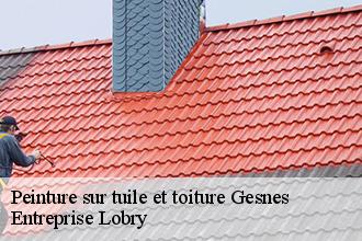 Peinture sur tuile et toiture gesnes-53150 AS Rénovation