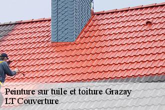Peinture sur tuile et toiture  grazay-53440 LT Couverture