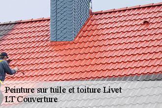 Peinture sur tuile et toiture  livet-53150 Toutain couverture