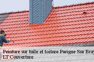 Peinture sur tuile et toiture  parigne-sur-braye-53100 Toutain couverture