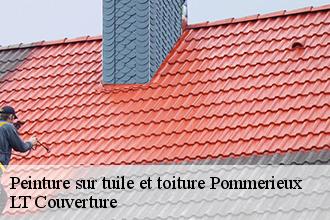 Peinture sur tuile et toiture  pommerieux-53400 LT Couverture