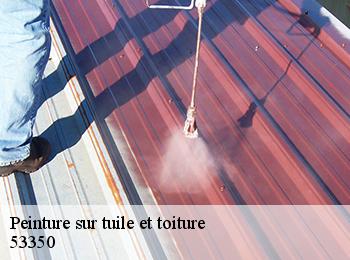 Peinture sur tuile et toiture 53350