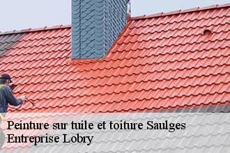 Peinture sur tuile et toiture saulges-53340 Lobry Couverture 53