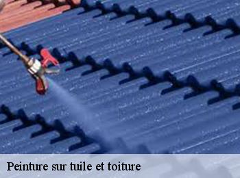 Peinture sur tuile et toiture