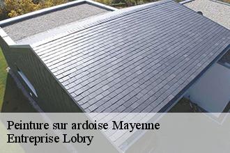 Peinture sur ardoise 53 Mayenne Toutain couverture