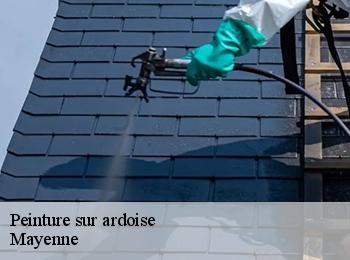 Peinture sur ardoise Mayenne
