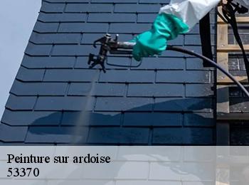 Peinture sur ardoise 53370