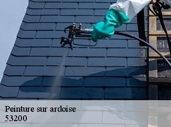 Peinture sur ardoise 53200