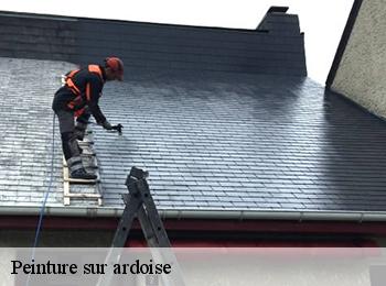 Peinture sur ardoise